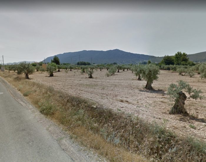 Captura de Pantalla 2022-12-13 a las 17.18.41