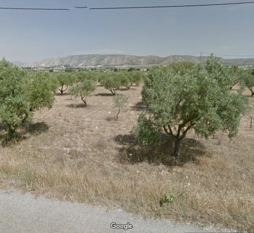 Captura de Pantalla 2022-12-13 a las 17.25.34