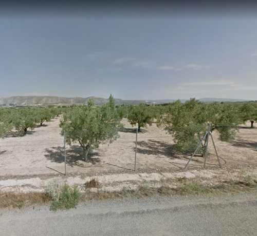 Captura de Pantalla 2022-12-13 a las 18.02.20