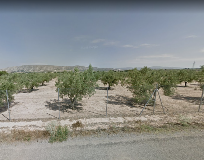 Captura de Pantalla 2022-12-13 a las 18.02.20