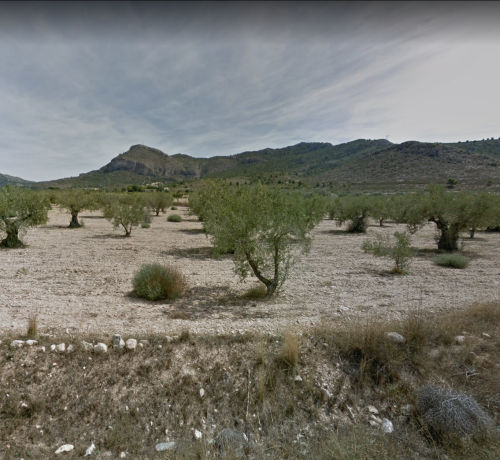 Captura de Pantalla 2022-12-13 a las 18.20.57