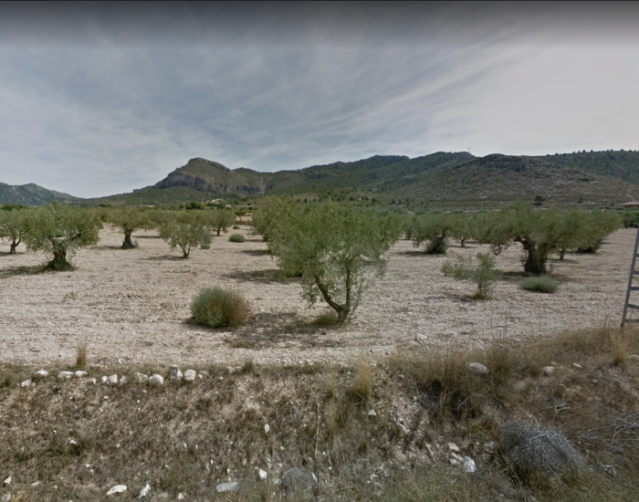 Captura de Pantalla 2022-12-13 a las 18.20.57