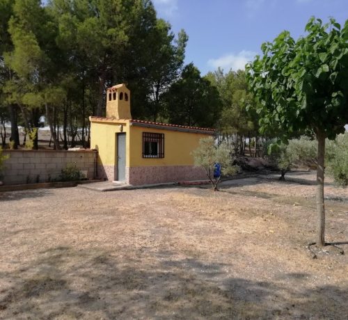 IMG_20190702_103828-1024x768