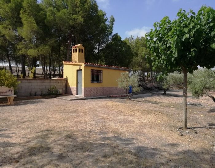 IMG_20190702_103828-1024x768