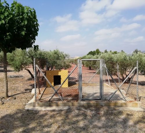 IMG_20190702_103831-1024x768