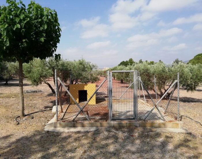 IMG_20190702_103831-1024x768