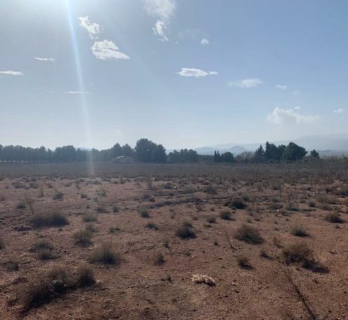 WhatsApp-Image-2021-03-09-at-12.40.56-1-1024x768