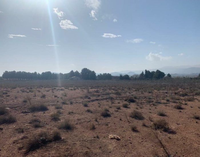 WhatsApp-Image-2021-03-09-at-12.40.56-1-1024x768