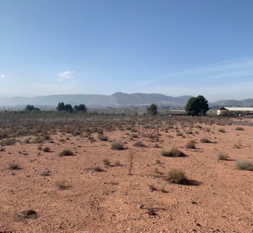 WhatsApp-Image-2021-03-09-at-12.40.56-1024x768