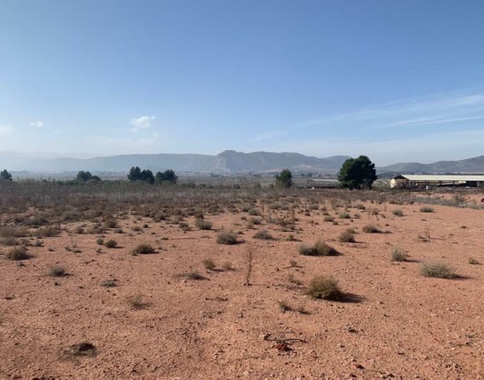 WhatsApp-Image-2021-03-09-at-12.40.56-1024x768