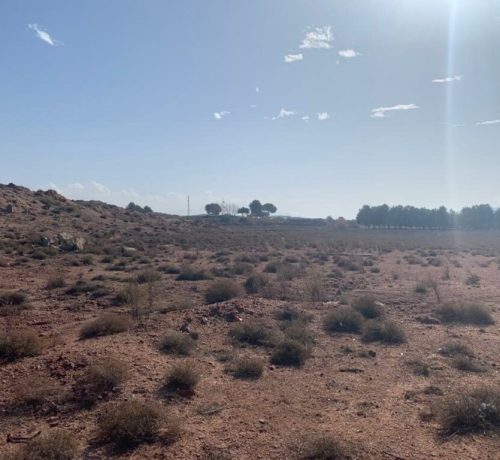 WhatsApp-Image-2021-03-09-at-12.40.56-2-1024x768