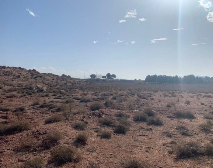 WhatsApp-Image-2021-03-09-at-12.40.56-2-1024x768