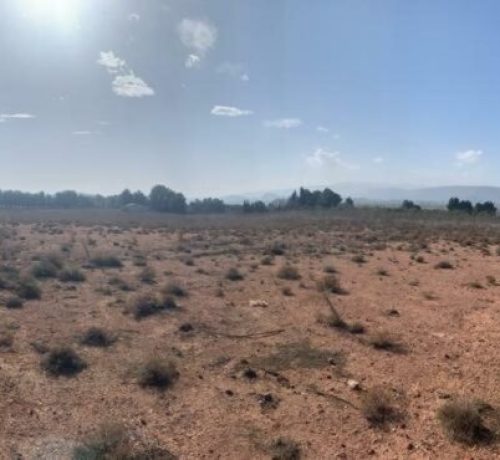 WhatsApp-Image-2021-03-09-at-12.40.56-3-1024x370