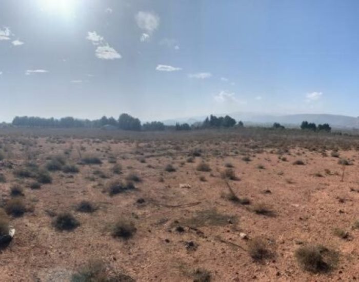 WhatsApp-Image-2021-03-09-at-12.40.56-3-1024x370