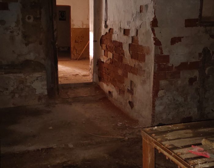 WhatsApp Image 2023-06-27 at 16.50.23 (1)