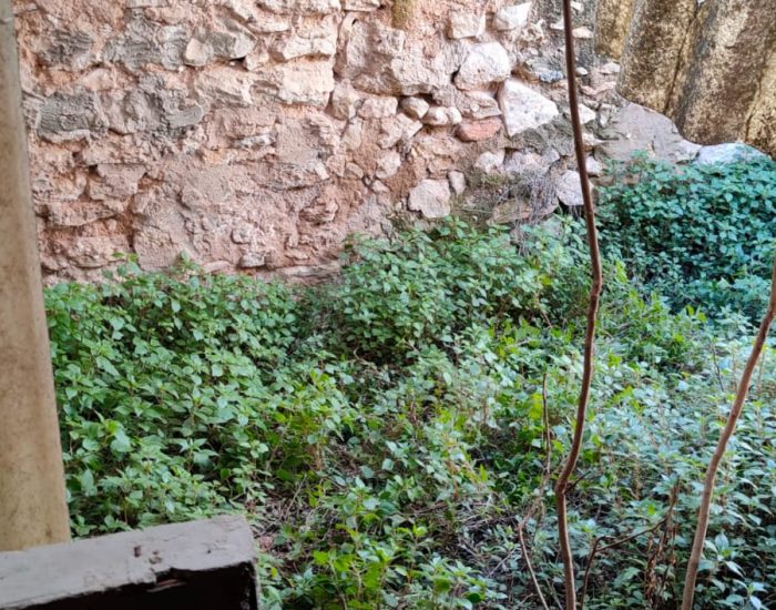 WhatsApp Image 2023-06-27 at 16.50.23 (2)