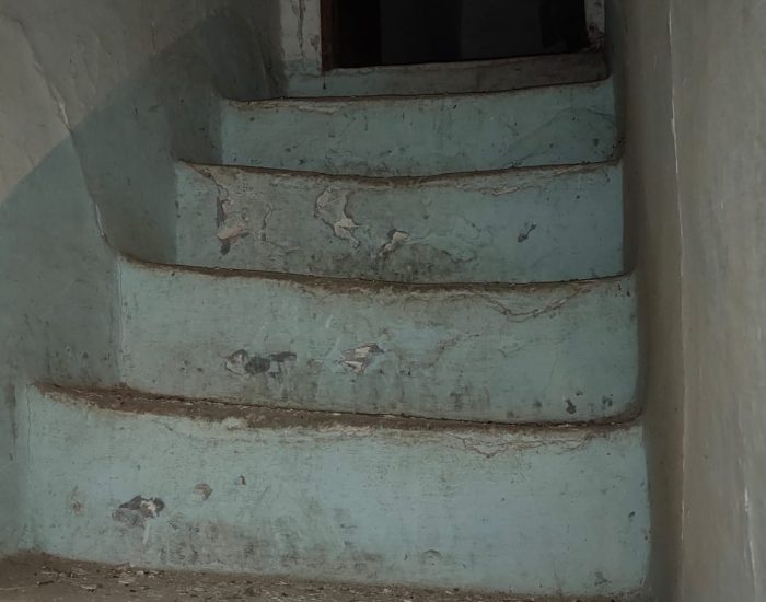 WhatsApp Image 2023-06-27 at 16.50.25